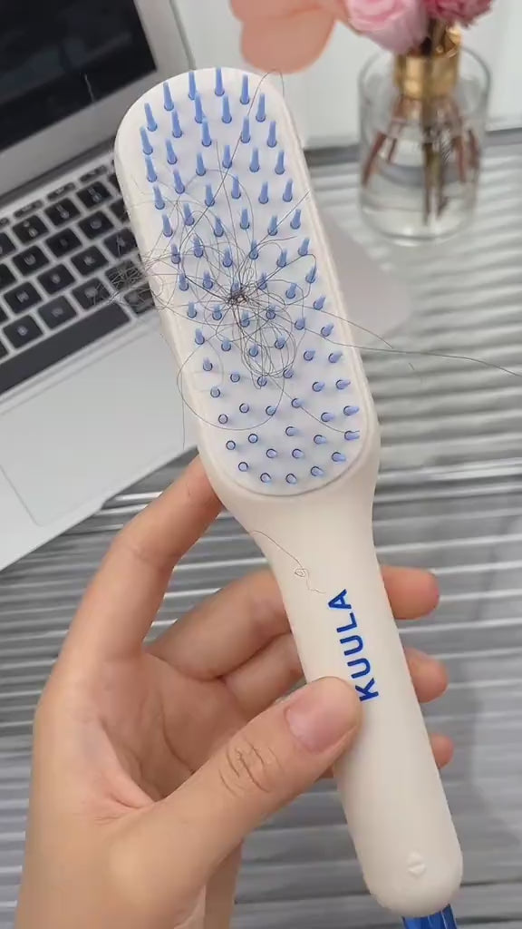 Hair Cleaning Brush